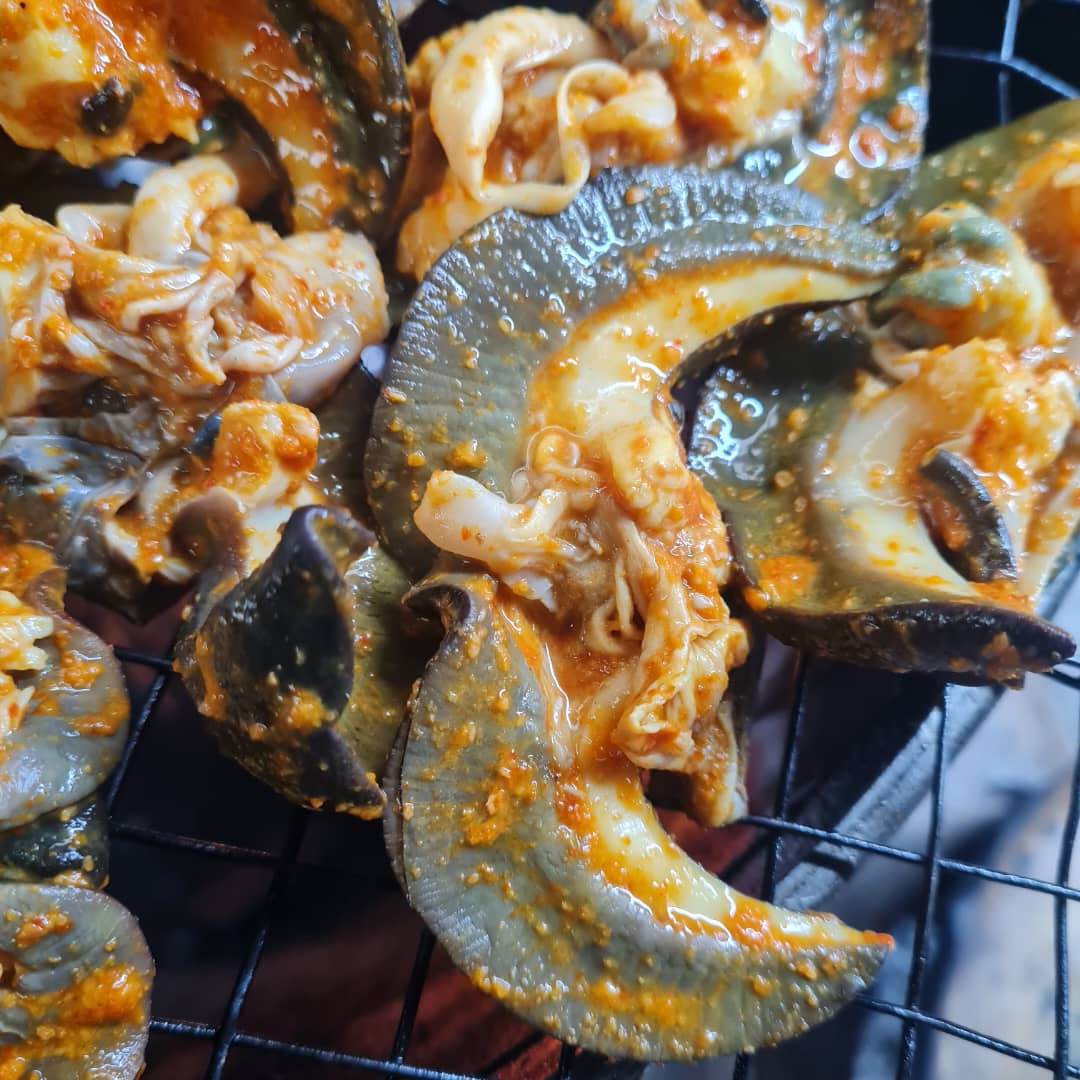 Roasted Snail (Medium)