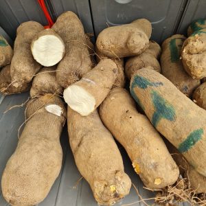 Sweet Benue Yam