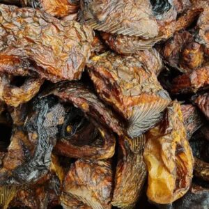 Dried Protein