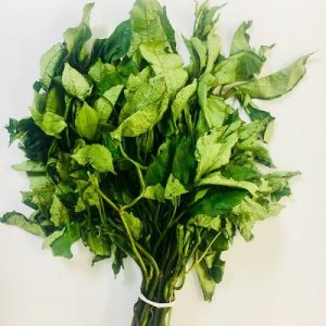 Ugwu Leaf