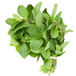 Dried Scent Leaf