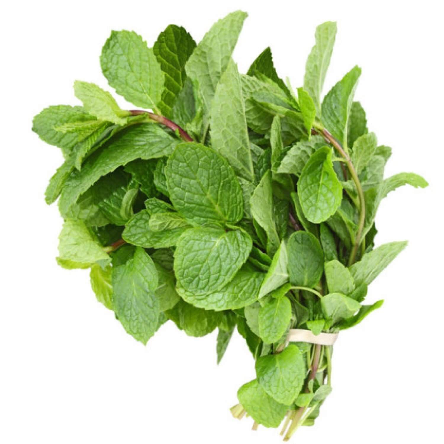 Dried Scent Leaf